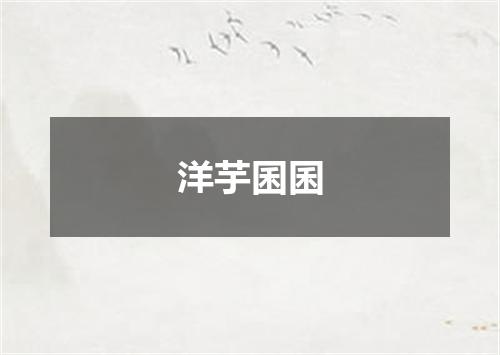 洋芋囷囷