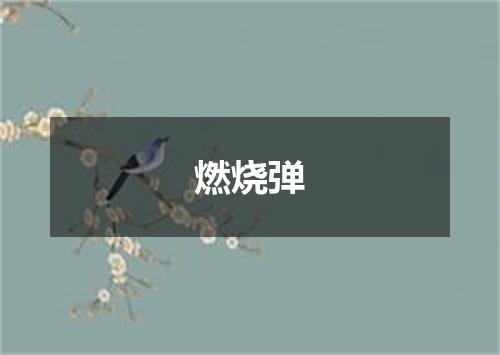燃烧弹