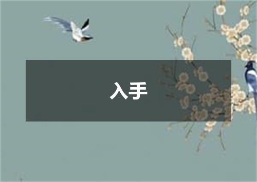 入手