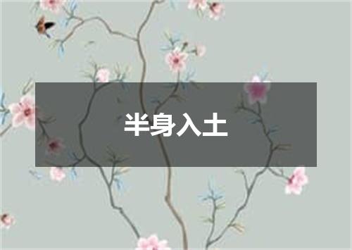 半身入土