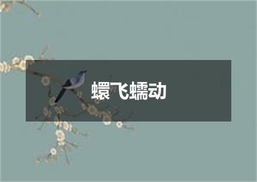 蠉飞蠕动