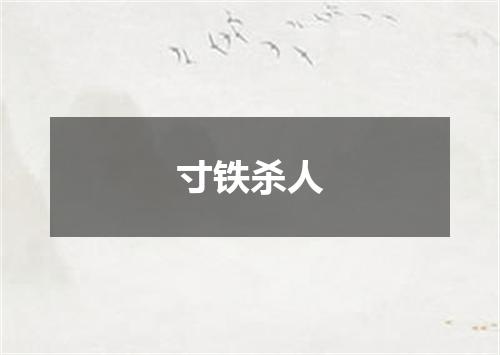 寸铁杀人