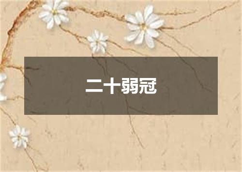 二十弱冠