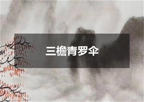 三檐青罗伞