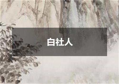 白社人