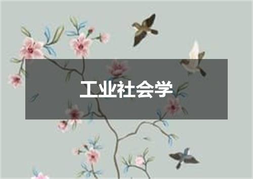 工业社会学