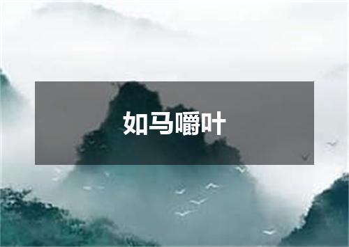 如马嚼叶