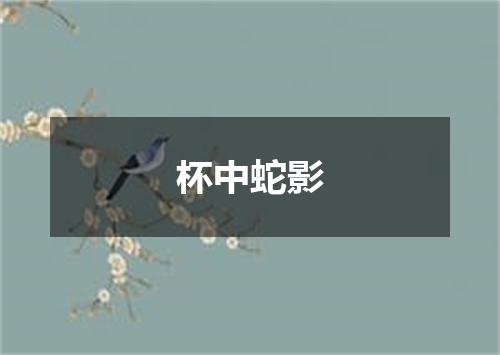 杯中蛇影