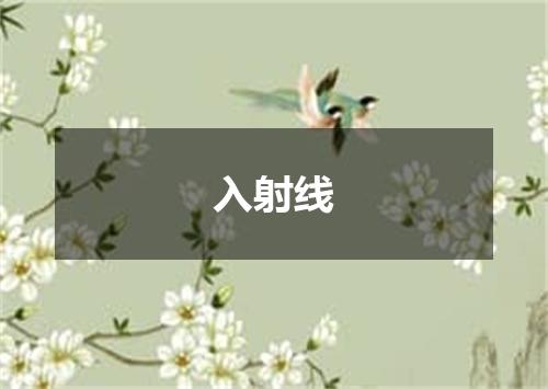 入射线