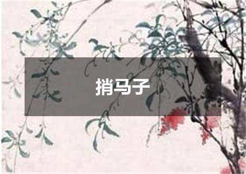 捎马子