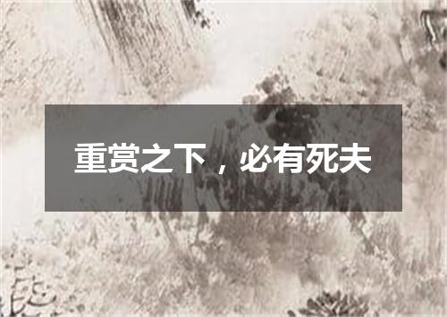 重赏之下，必有死夫