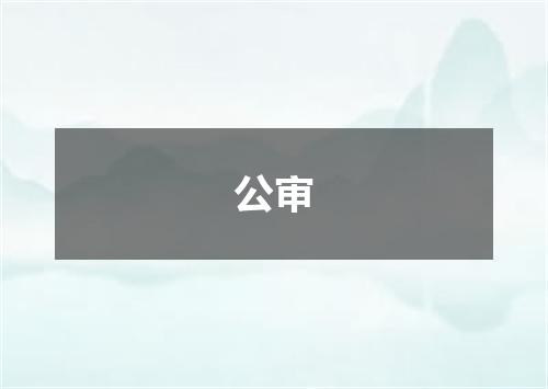 公审