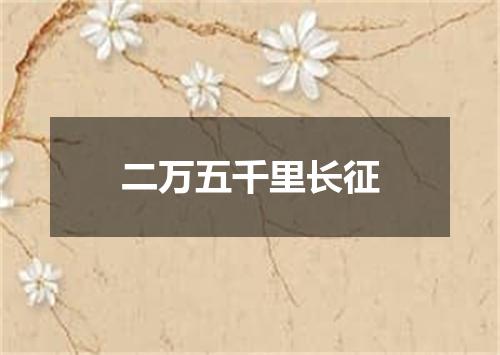 二万五千里长征