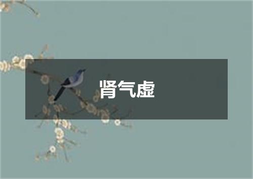肾气虚