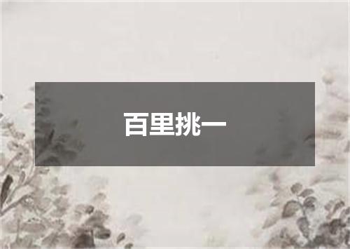 百里挑一