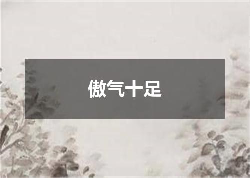 傲气十足