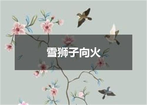 雪狮子向火