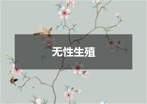 无性生殖