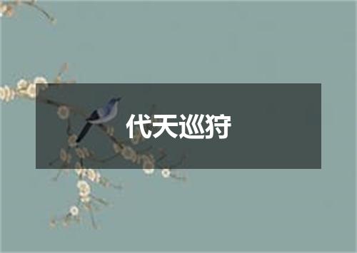 代天巡狩