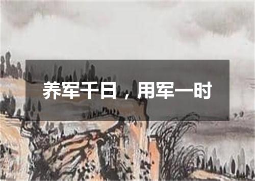 养军千日，用军一时