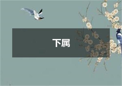 下属