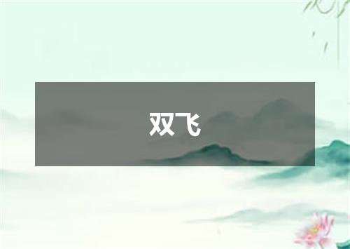 双飞