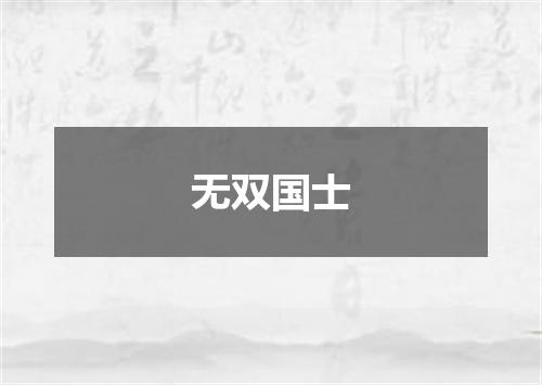 无双国士