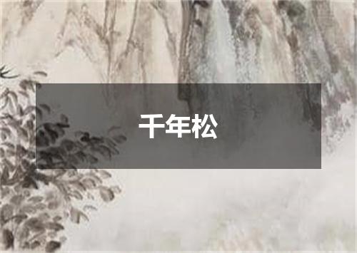 千年松