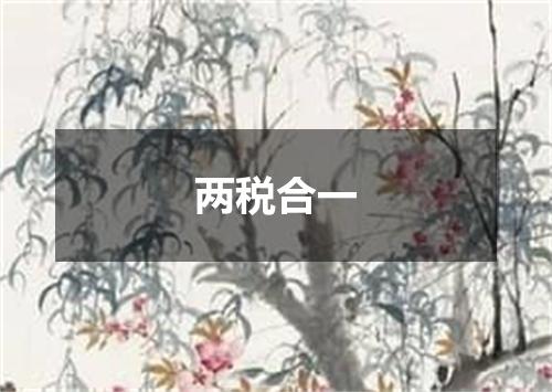 两税合一