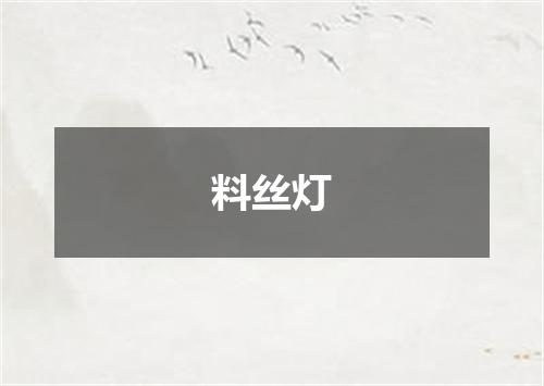 料丝灯