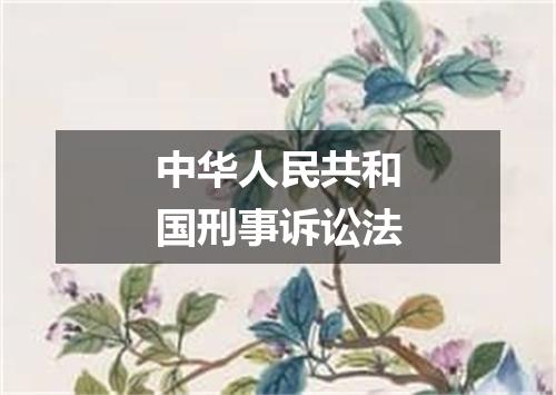 中华人民共和国刑事诉讼法