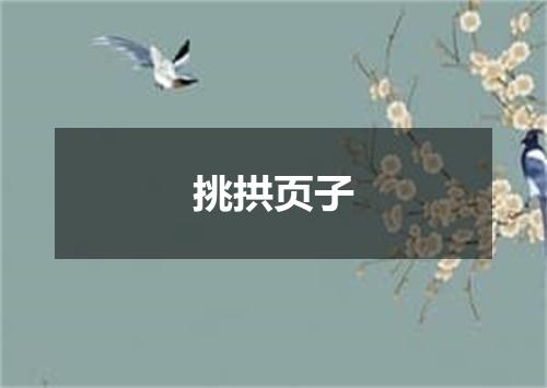 挑拱页子