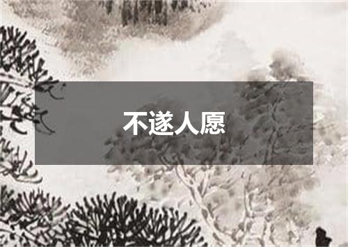 不遂人愿