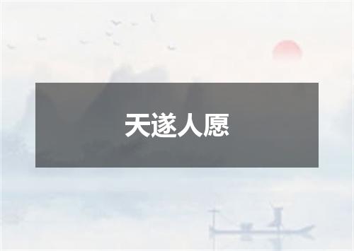 天遂人愿