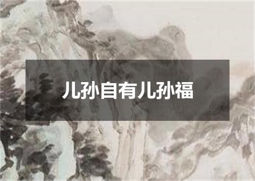 儿孙自有儿孙福
