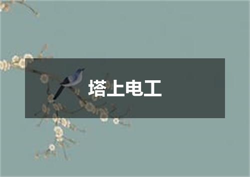 塔上电工