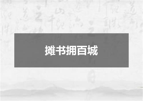 摊书拥百城