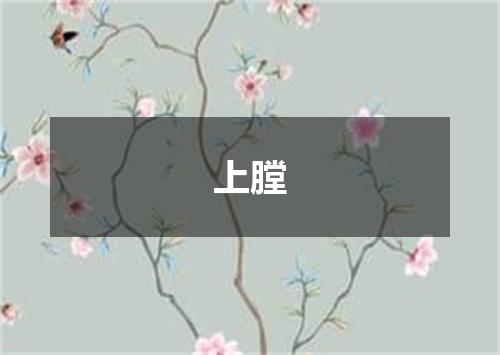 上膛
