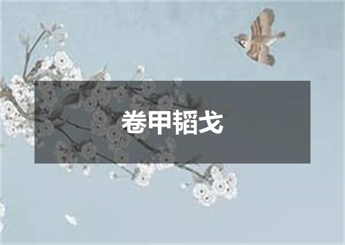 卷甲韬戈