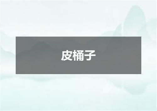 皮桶子