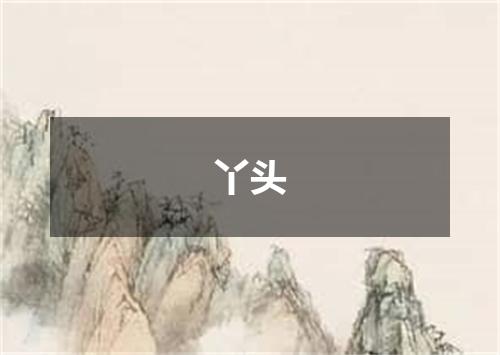丫头