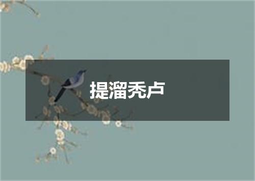提溜秃卢