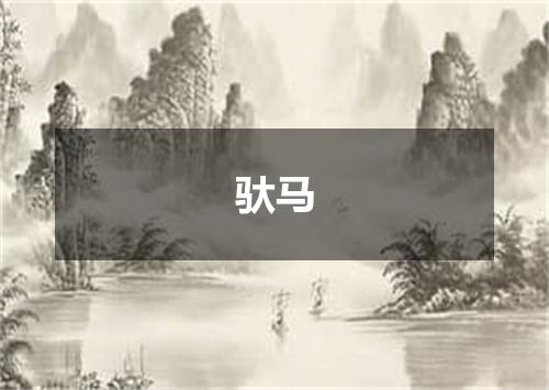 驮马