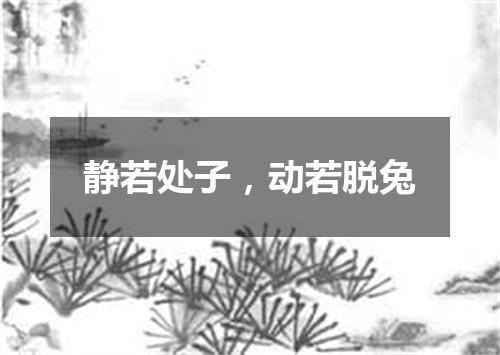 静若处子，动若脱兔