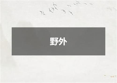 野外