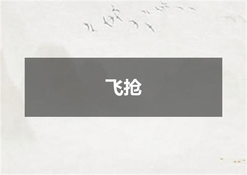 飞抢
