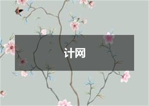 计网