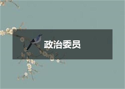 政治委员