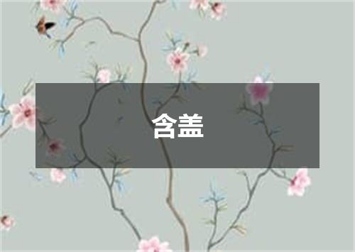 含盖