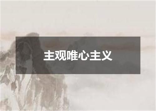 主观唯心主义